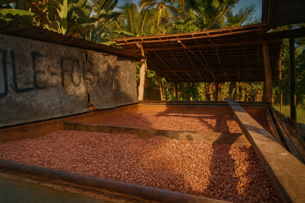 Enhance the cocoa be